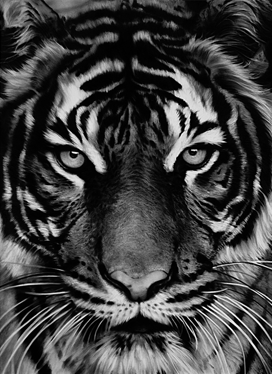 Tiger by Robert Longo on artnet Auctions