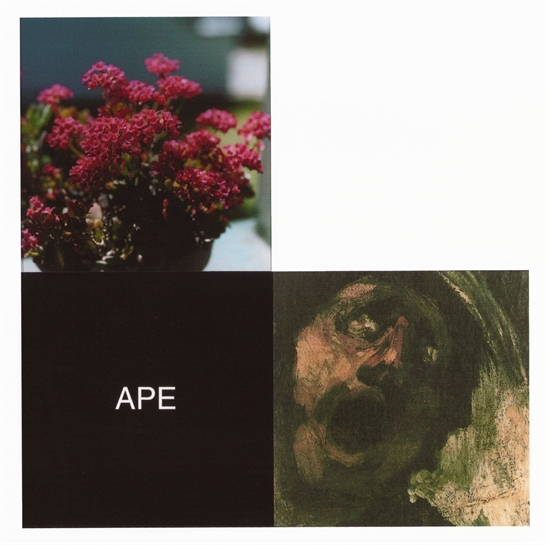 artnet news