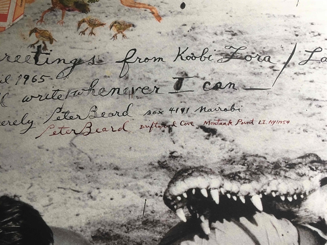 I'll Write Whenever I Can, Koobi Fora, Lake Rudolf By Peter Beard On ...