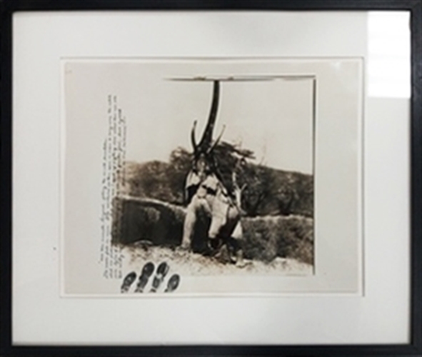 Elephant Reaching For The Last Branch On A Tree, Kenya By Peter Beard ...