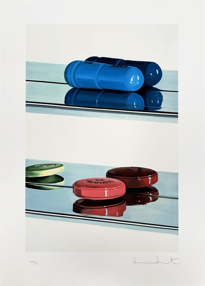 Two Pills (Large) by Damien Hirst on artnet Auctions