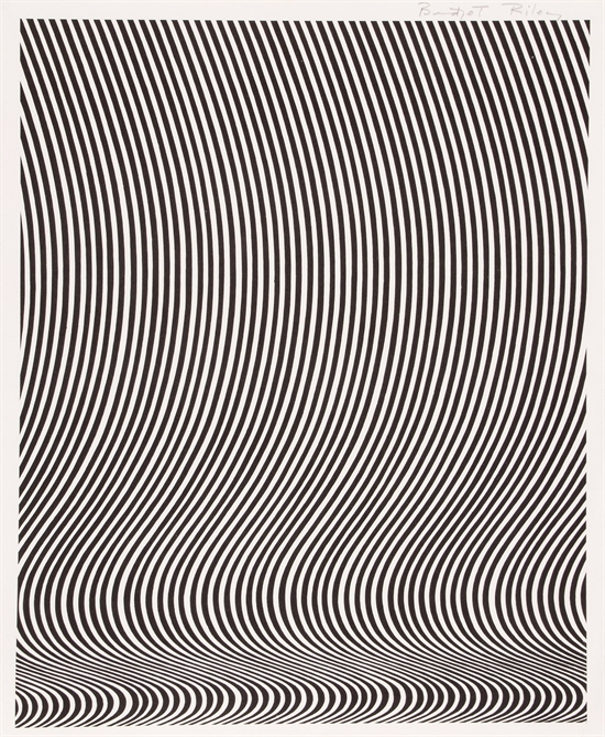 Artist bridget riley essay picture