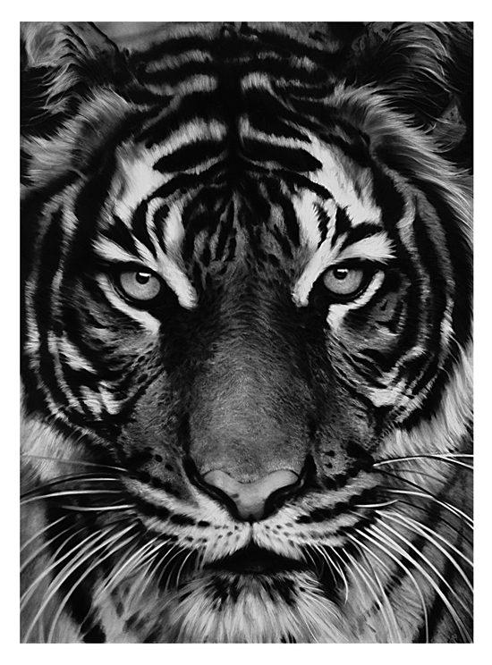 Tiger by Robert Longo on artnet Auctions