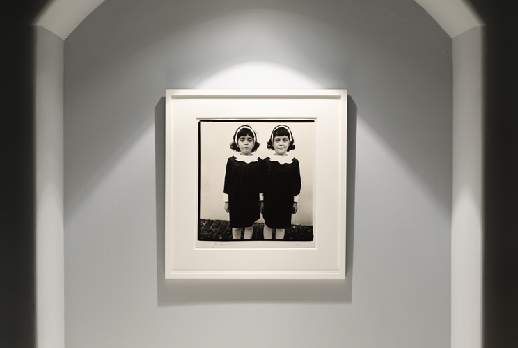 Identical twins, Roselle, N.J. by Diane Arbus on artnet Auctions