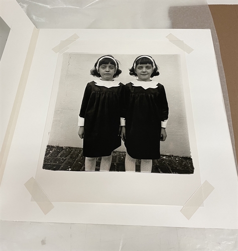 Identical twins, Roselle, N.J. by Diane Arbus on artnet Auctions