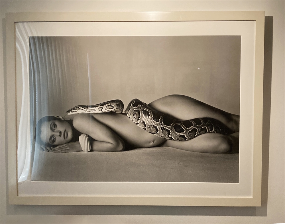 Nastassja Kinski And The Serpent Los Angeles California By Richard Avedon On Artnet Auctions