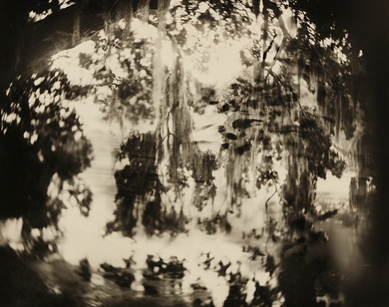 Untitled Deep South 32 By Sally Mann On Artnet Auctions