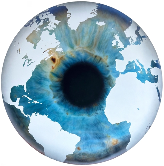 The Eye of History (Atlantic Perspective) Ice Age 1 by Marc Quinn on ...