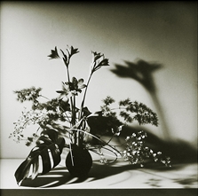 Wildflowers in Vase by Robert Mapplethorpe