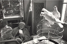 Henri Matisse, Vence, France by Henri Cartier-Bresson