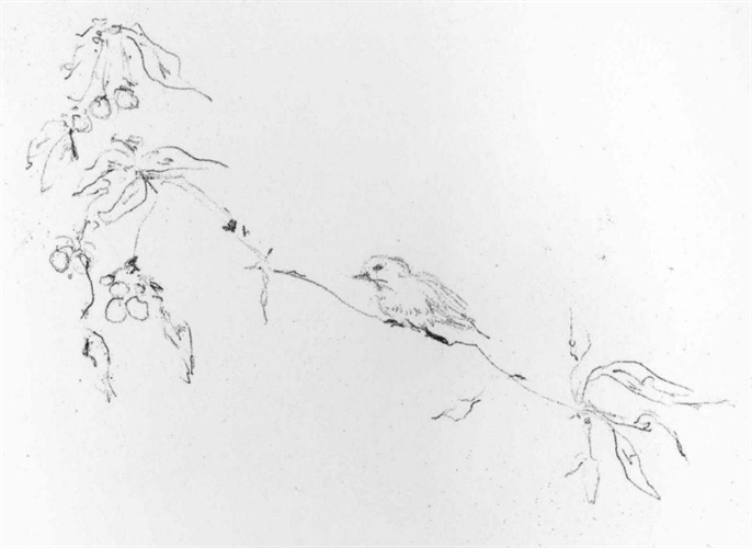 Sam and Jay's Birds by Tracey Emin on artnet Auctions