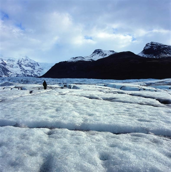 True North by Isaac Julien on artnet Auctions