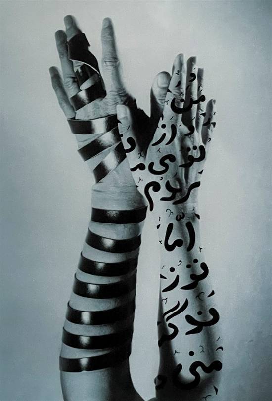 Untitled / Hands by Shirin Neshat and Izhar Patkin on artnet Auctions