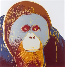 Orangutan (from Endangered Species) by Andy Warhol