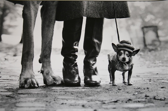 New York City. Felix, Gladys and Rover by Elliott Erwitt on artnet Auctions