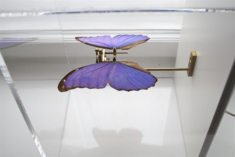 papillon garden statue