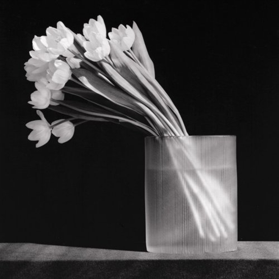 Tulips by Robert Mapplethorpe on artnet Auctions