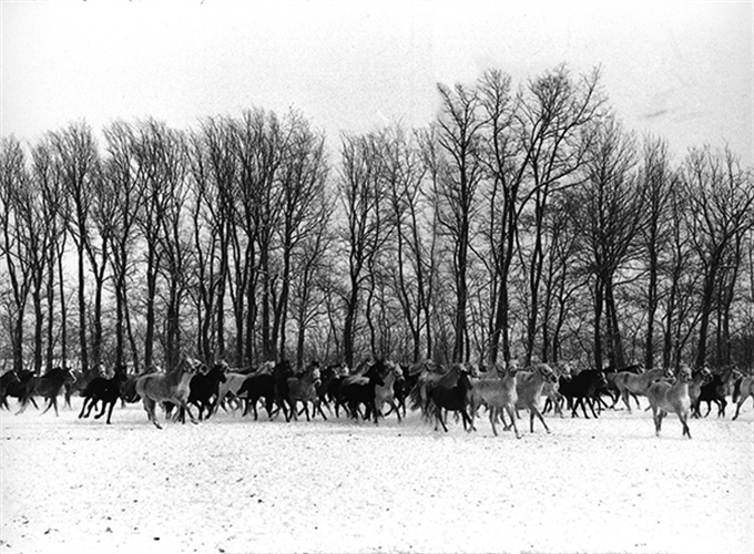 Gyor Hungary by Henri Cartier Bresson on artnet Auctions