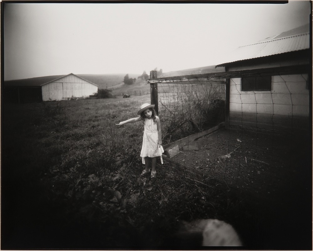 Bossing Trouble By Sally Mann On Artnet Auctions