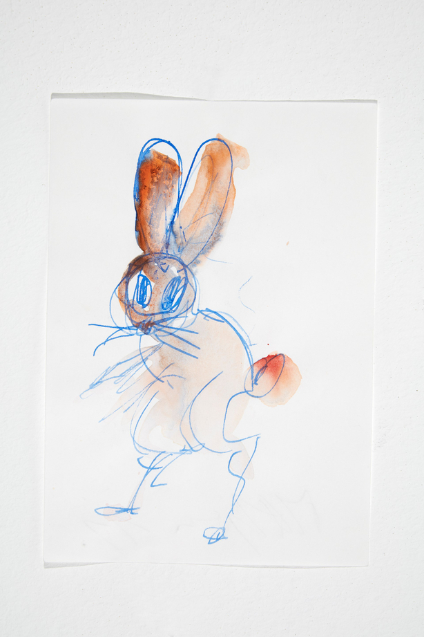 Hase