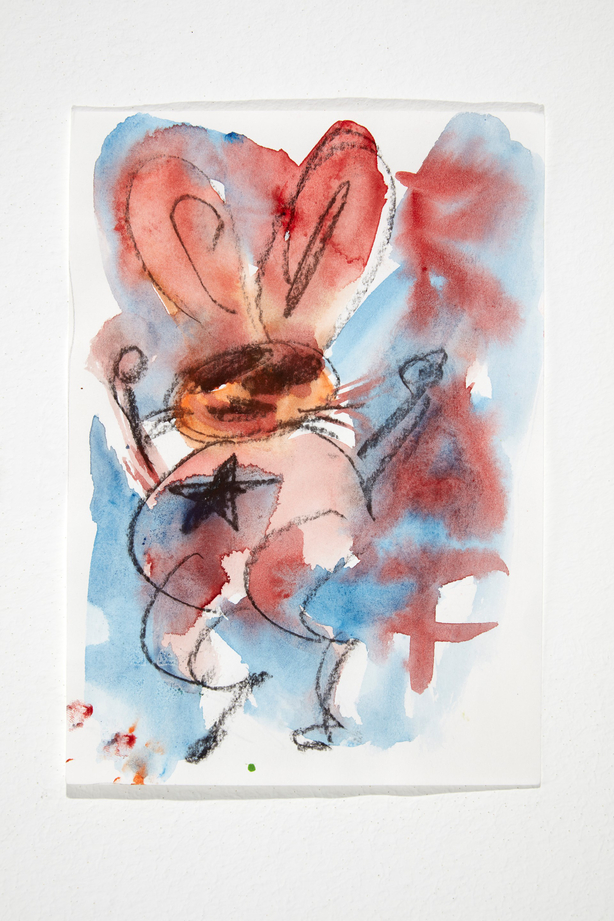 Hase
