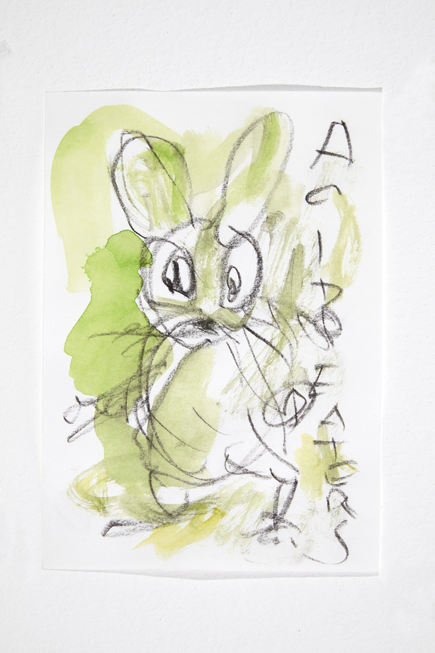 Hase