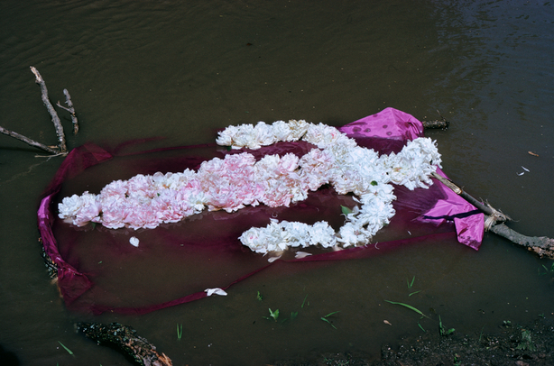 Flower Person, Flower Body