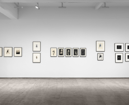 Inventing Objects: Jay DeFeo’s Photographic Work