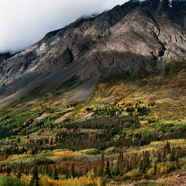 Boreal Cordillera