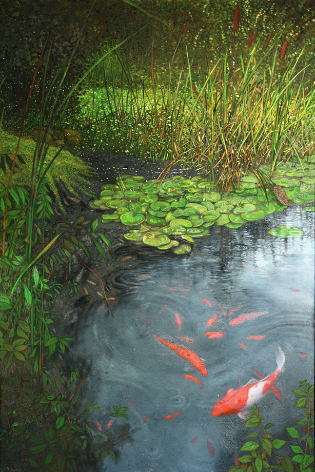 Koi Pond #1