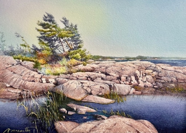 Pointe au Baril, Study