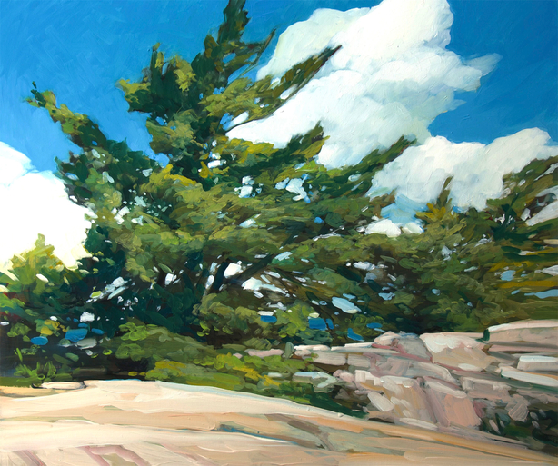 Windswept Pine, Georgian Bay