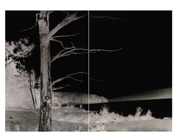 Lake with Dead Trees, Catskill Mountains, September 9 2019