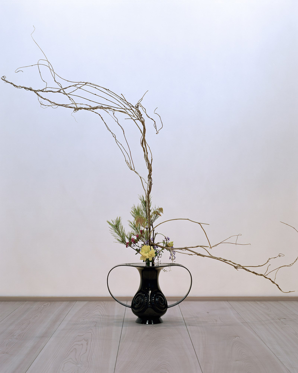 anothermountainman x Shuho - reborn ikebana - 04A