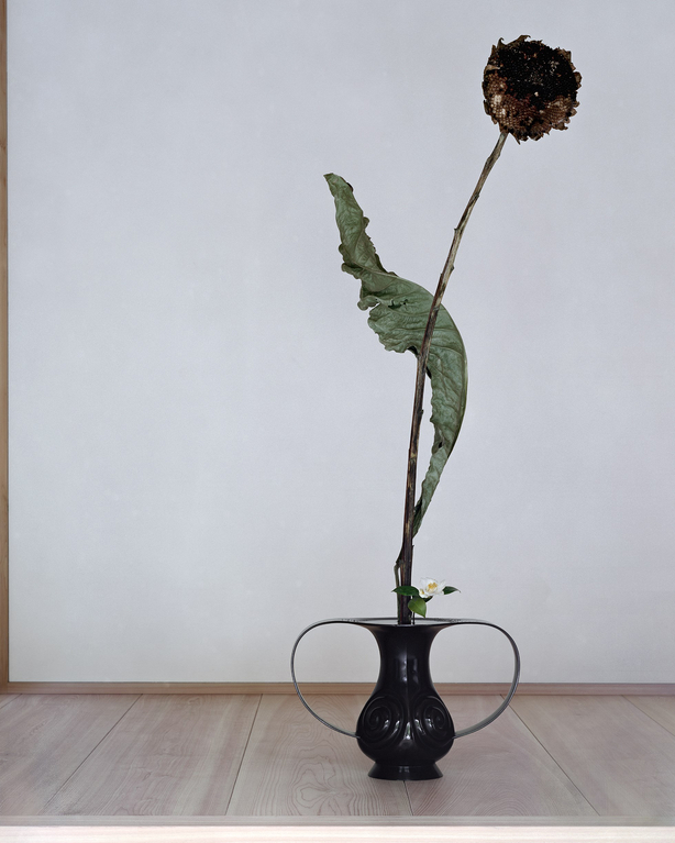 anothermountainman x Shuho reborn ikebana - 02A