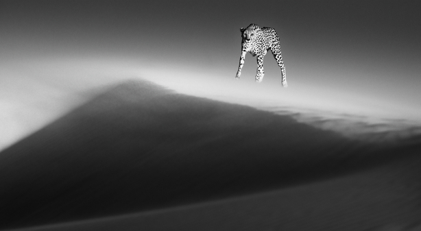 Ethereal Dune, Namibia