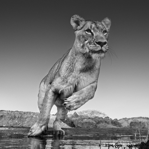 Emma, Dinokeng, South Africa