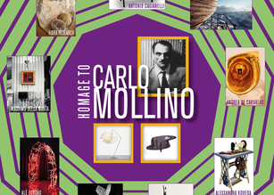 Homage to Carlo Mollino