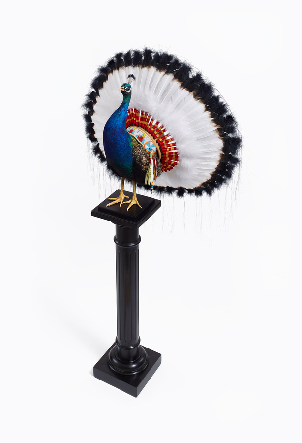Peacock War Bonnet