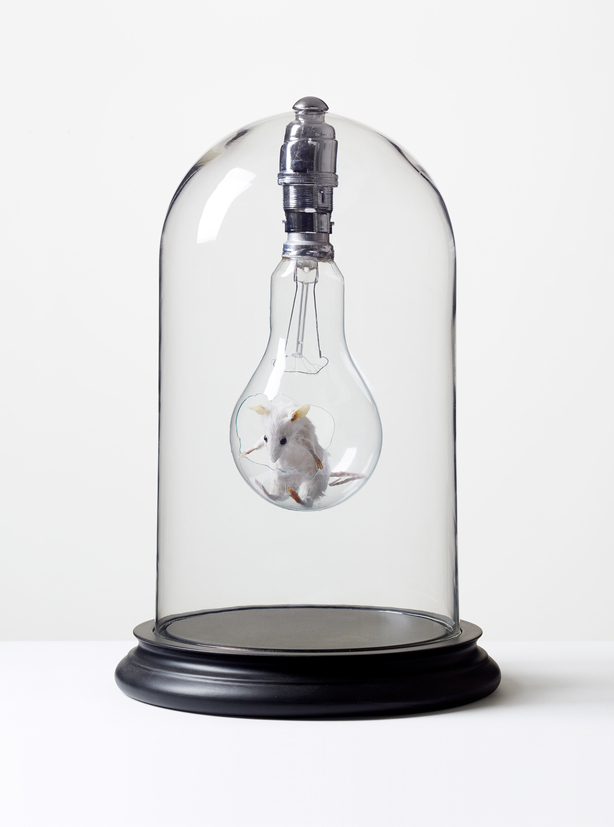 Mouse In Lightbulb - Print