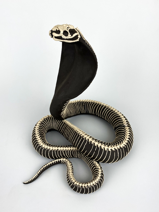 Cobra