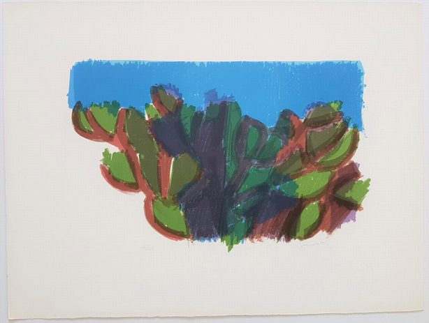 "Cactus"  from Portfolio "Grafica '69"