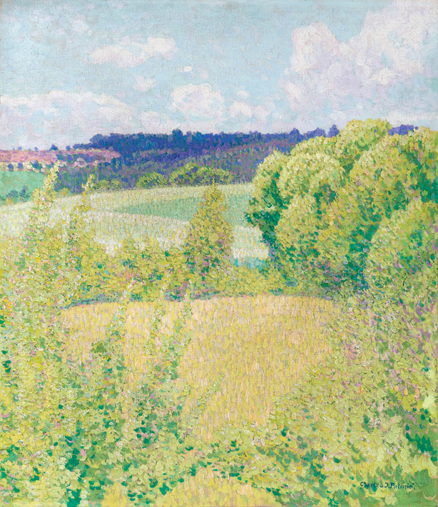 Summer Landscape