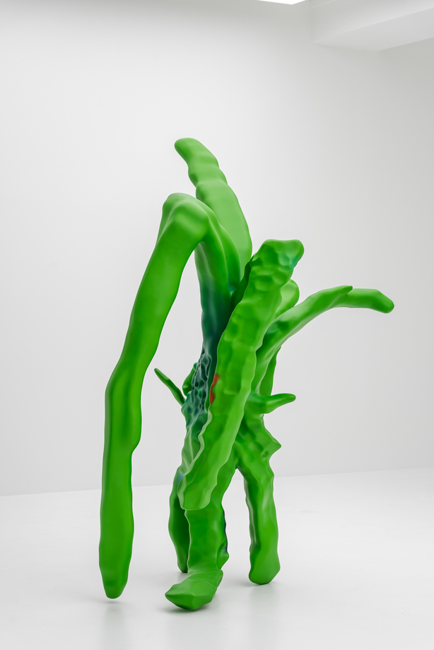 Epiphyllum I