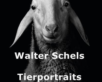 Walter Schels: Tierportraits