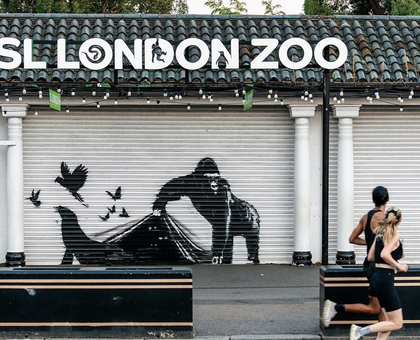 BANKSY | LONDON ZOO