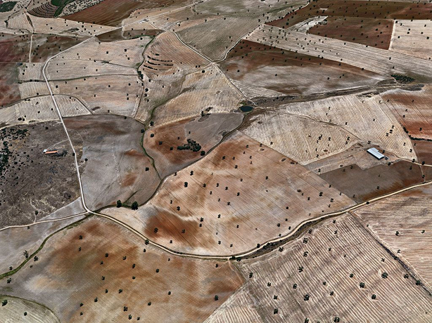 Dryland Farming #29, Monegros County, Aragon, Spain