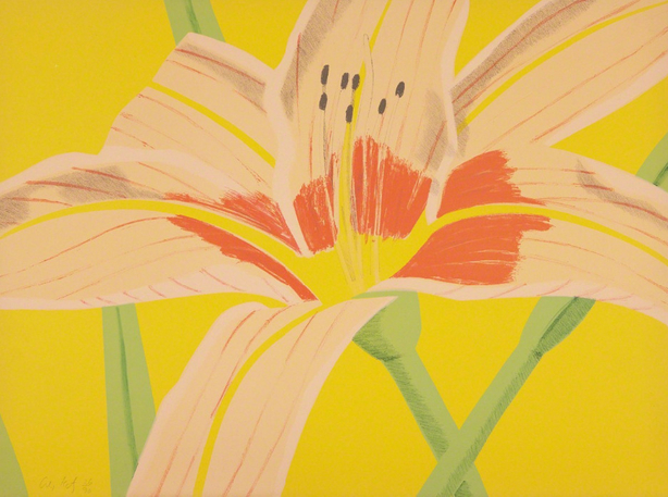 Day Lily II