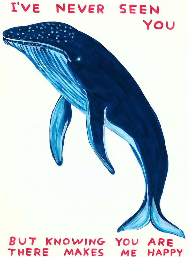 David Shrigley I've Never Seen You