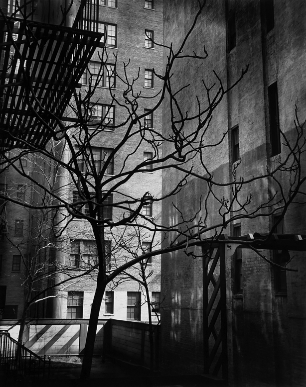 Manhattan Courtyard